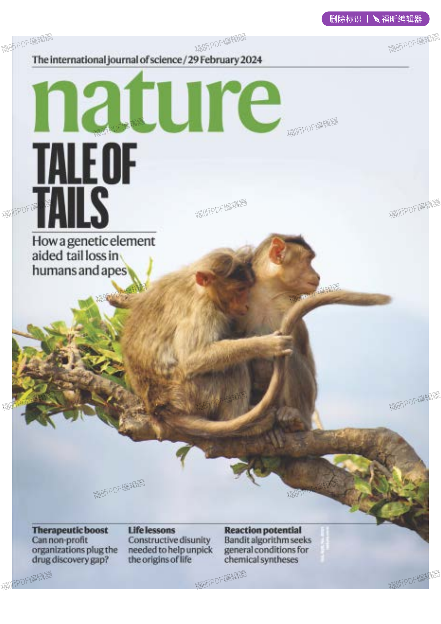 自然周刊Nature 2024年2月29号