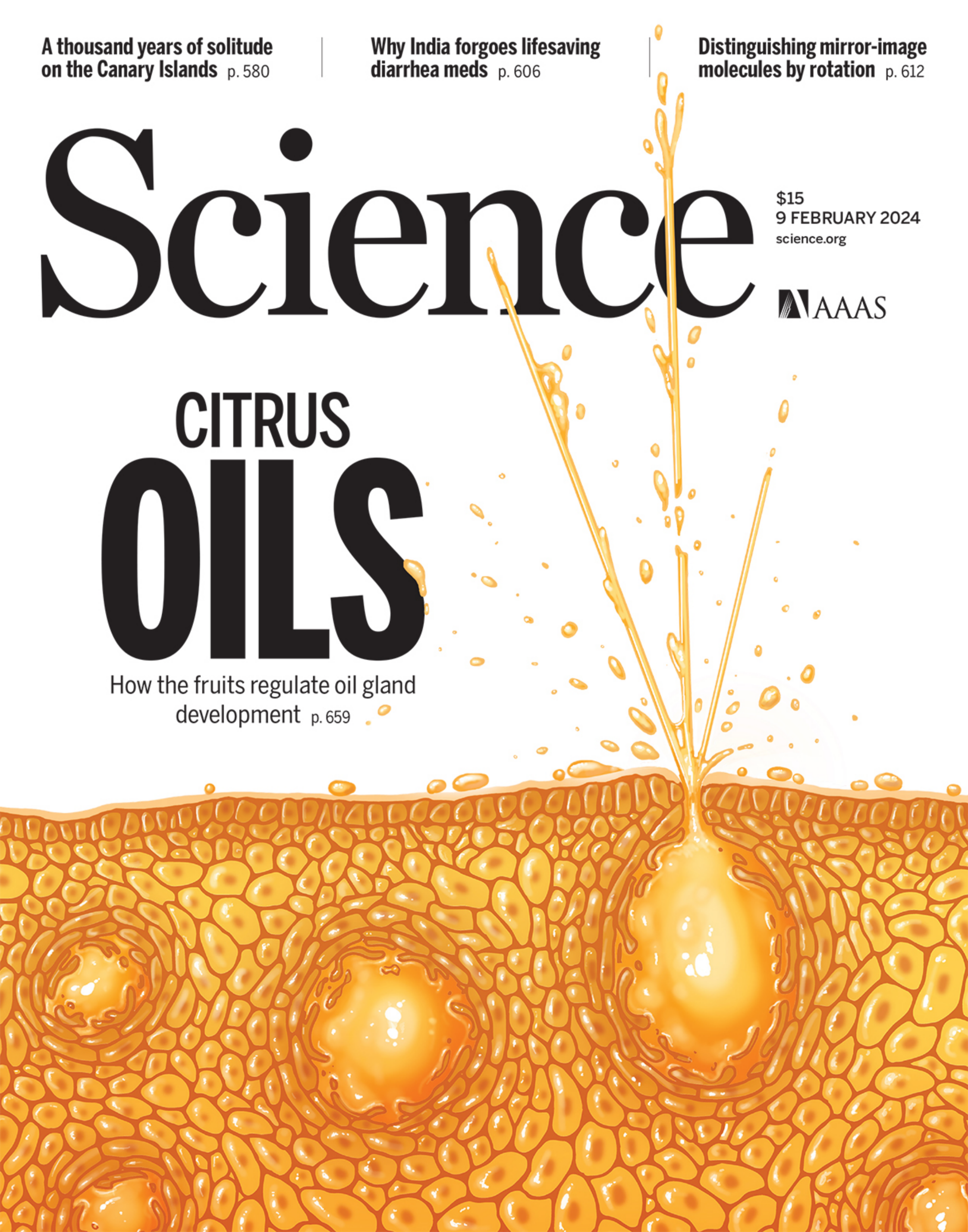科学周刊Science 2024年2月9号