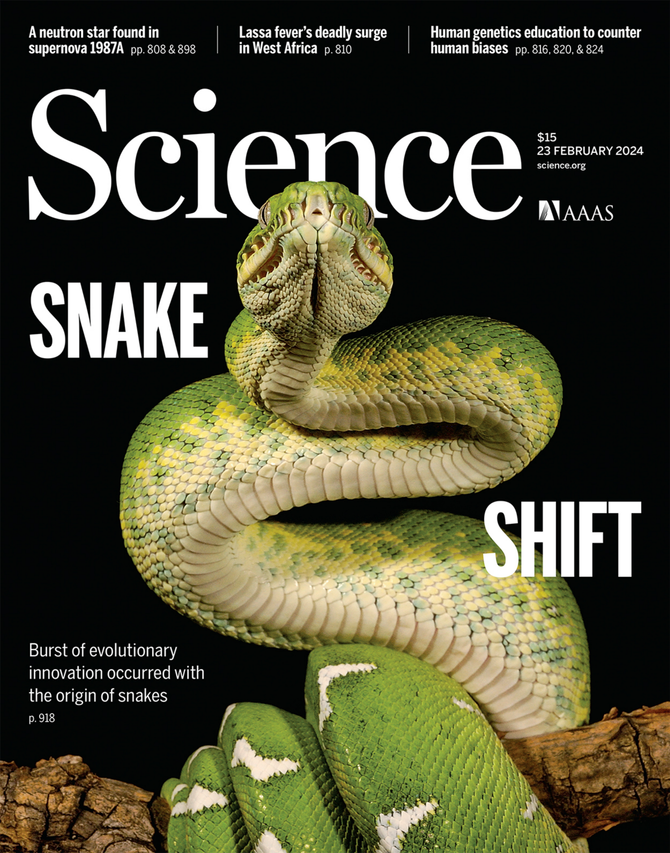 科学周刊Science 2024年2月23号