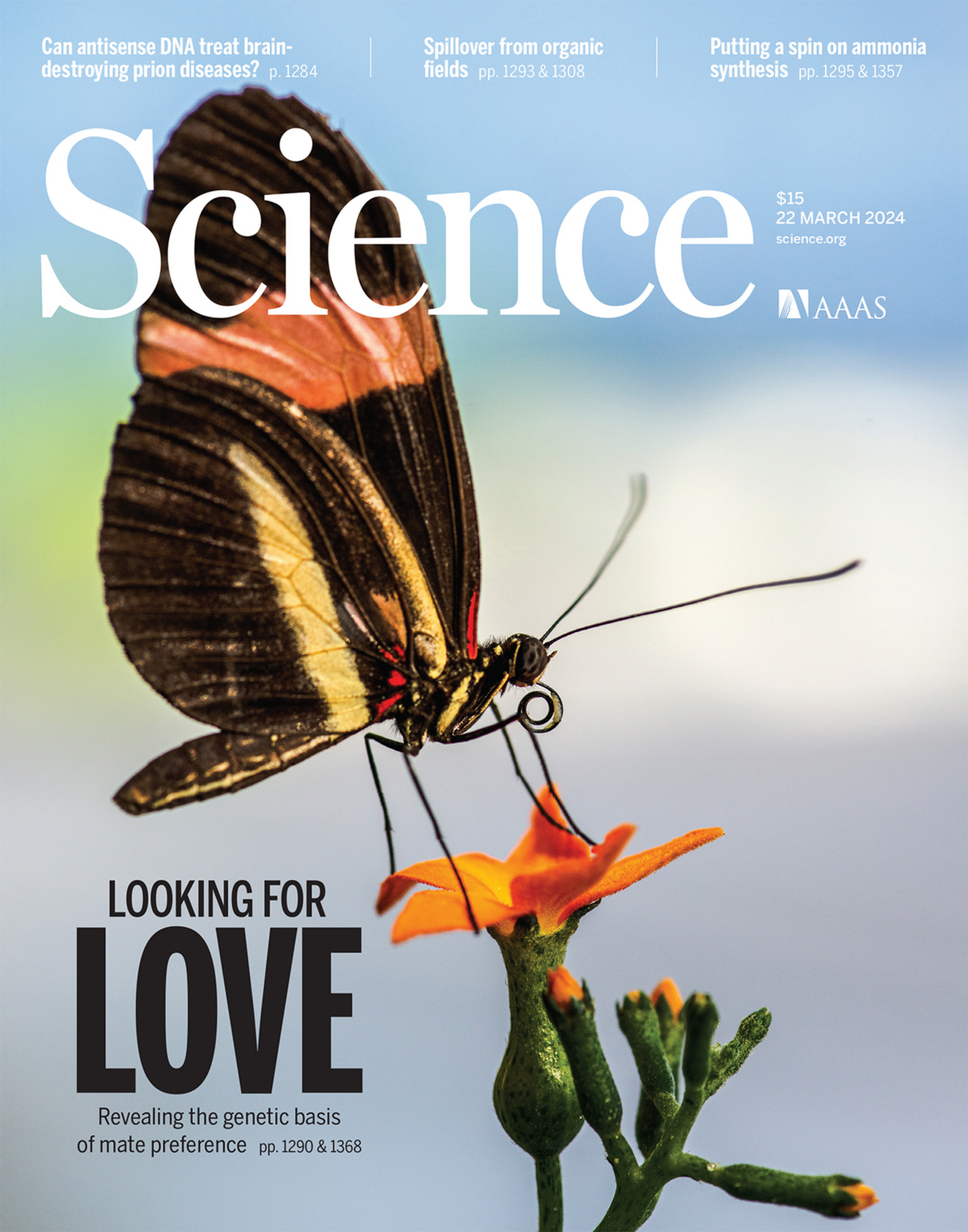 科学周刊Science 2024年3月23号