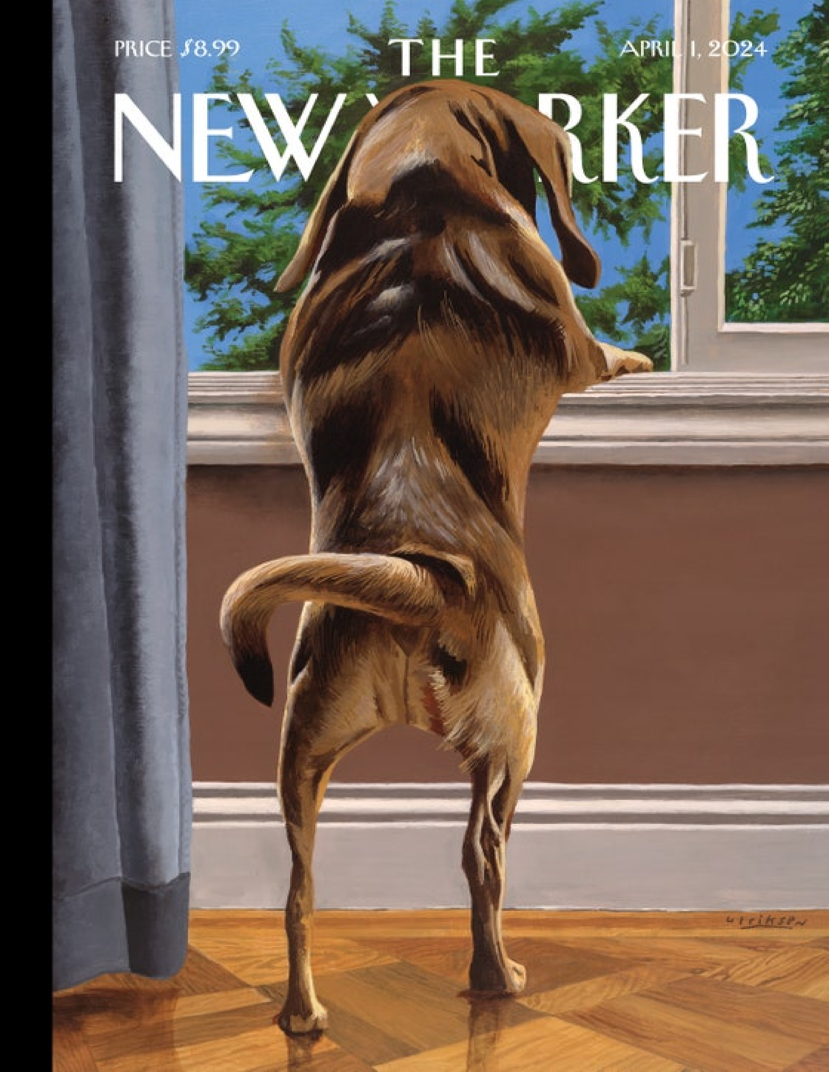 纽约客New Yorker 2024年4月1号